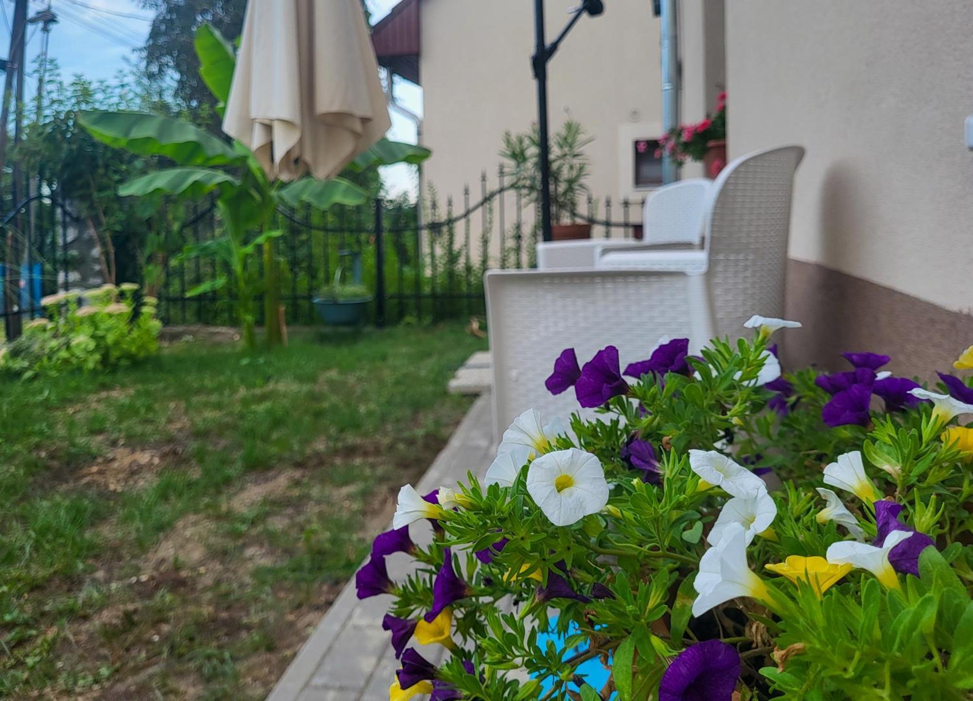 Mi Casa Vendégház - Apartments Eger Exterior foto